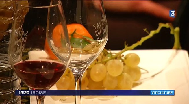 BEZIERS - 2016 - SORTIEOUEST - Sébastien Barrier pousse le bouchon à Brest