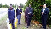 Mersin'de Ugandalı Tarım Uzmanlarına Seracılık Eğitimi Veriliyor