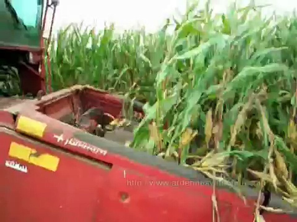 Fauchage du mais 2006 avec une CASE IH Axial 1420 et un bec 4 rangs