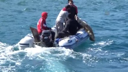 Bodrum'da Deniz ve Kıyı Temizliği Etkinliği