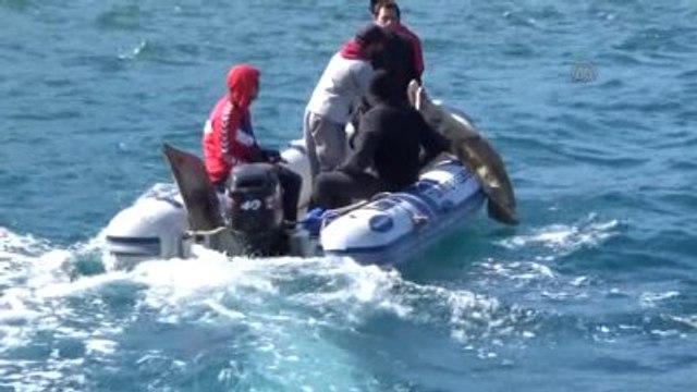 Bodrum'da Deniz ve Kıyı Temizliği Etkinliği