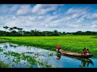 Bokul Phol by Joler Gaan