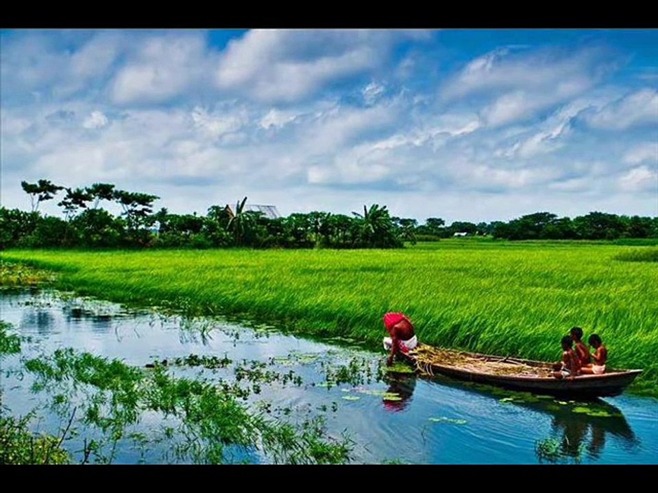 Bokul Phol by Joler Gaan