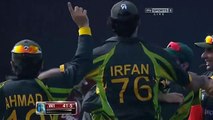 Shahid Afridi Fight Wicket Pakistan vs Bangladesh ICC T20 World Cup 2016