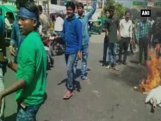 Kanpur ABVP worker catches fire while burning Owaisi's effigy
