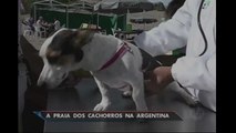 Argentina: Praia monta estrutura exclusiva para cães