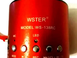 Mini Speaker WESTER WS 138RC USB SD CARD FM Radio whit Sound Test TheSDC44