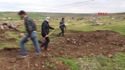 Şanlıurfa Evinin Önündeki Ağacı Kesti, Ceza Olarak 30 Fidan Dikti