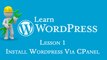 In this tutorial you will learn how to install WordPress on your CPanel hosting account. On custom hosting platforms, li