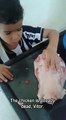 El video de un niño rogándole a su mamá que no cocine un pollo se vuelve viral