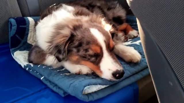 On met sa chanson préférée pendant qu'il dort... Sa réaction est trop mignonne !