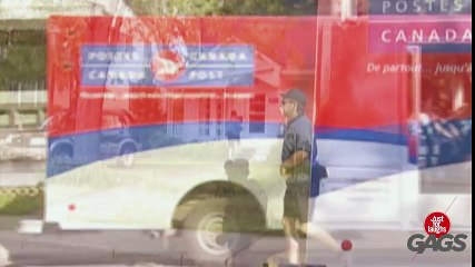 Throwback Thursday - Donkey Delivery Prank