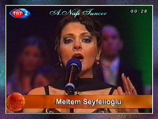 Meltem SEYFELİOĞLU-Gözlerimden Yüzün Kulaklarımdan Sesin Silinmedi Senelerdir