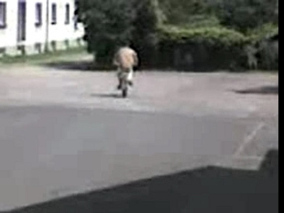 Vidéo310