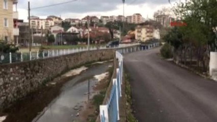 Kocaeli - Kendini Asan Kadın Son Anda Kurtarıldı