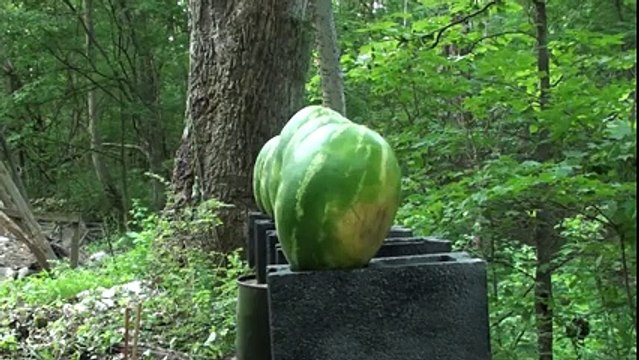 Dünyanın En Güçlü Tabancası Yok Böyle Bir Şey