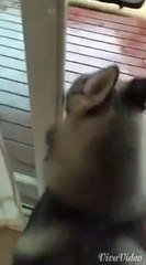 ดู เชอบัว ยูโร มายา ตอนที่ 9 คิดถึงมากนะรู้ไม๊