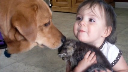 Is that your baby (Little Girl Loves Her Kitten) (Original)