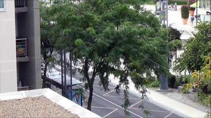 Heuliez GX317 N°2024 Fil Bleu