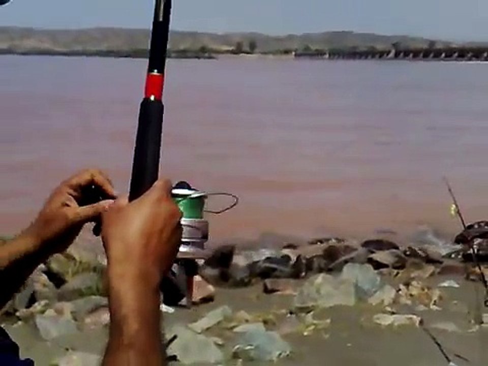 Pakistan sazan avı