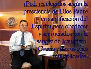 LA APOSTASÍA Y EL LIBRE ALBEDRÍO
