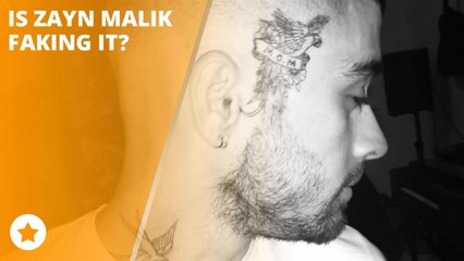 Is Zayn Malik faking his latest piece of art?