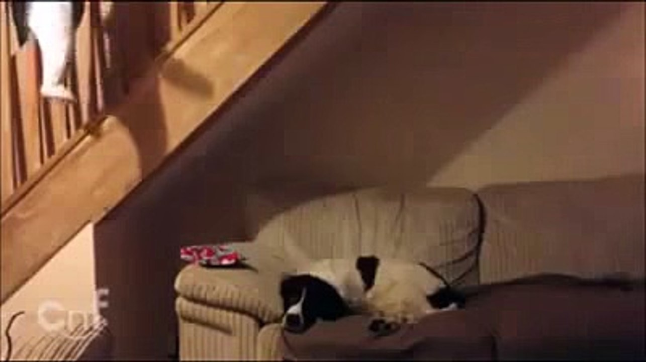 When mom leaves baby with dad Best Dad Ever top songs 2016 best songs new songs upcoming songs latest songs sad songs hindi songs bollywood songs punjabi songs movies songs trending songs mujra dance Hot songs