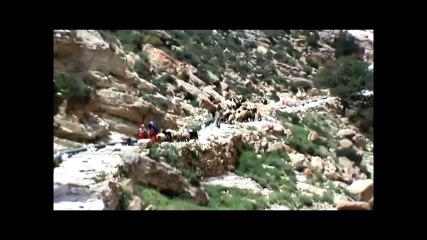 AFRICA NORTH TUNISIA TOUJANE