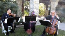 String Quartet Los Angeles Falling Slowly - Ocdamia Strings