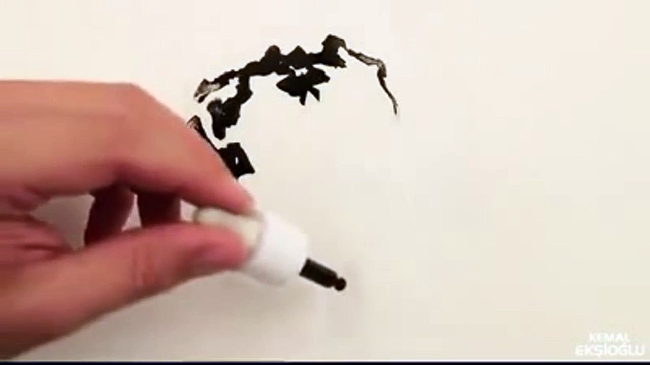 Su ve Mürekkep Ile Sanat