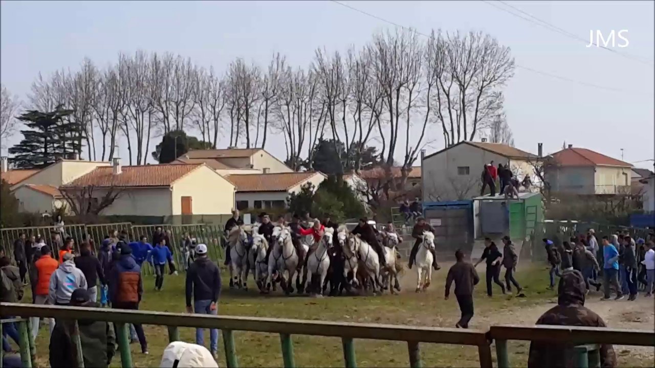 MANDUEL-Entrainement Abrivado-manades A.Chapelle/Galoubet-mars-Hivernale 2016