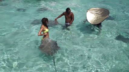 Le shooting photo d'Irina Shayk avec des requins et des raies à Tahiti