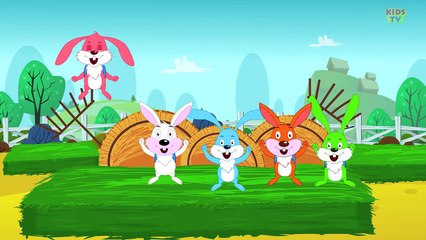 Five Little Rabbits | Nursery Rhymes