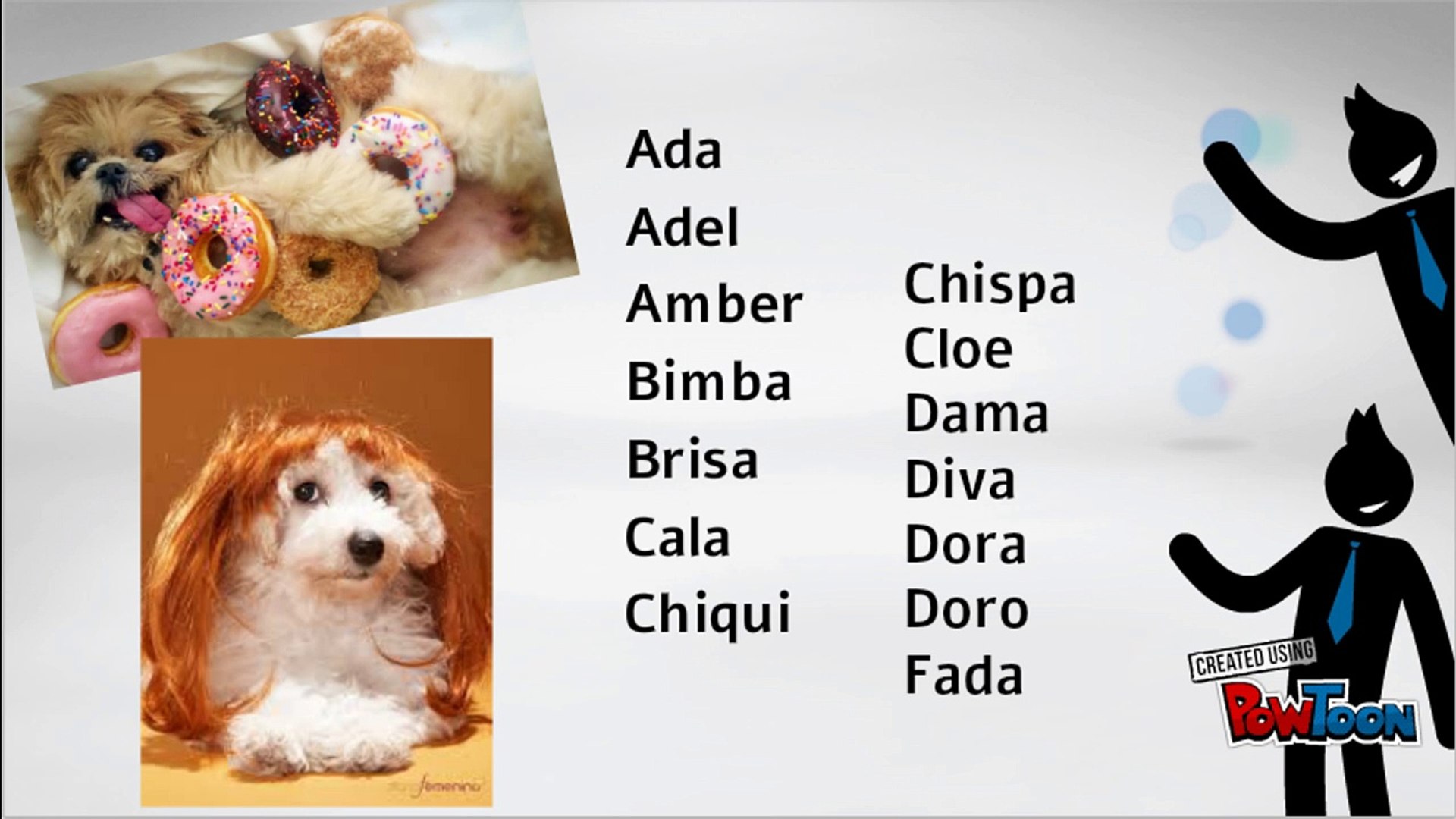 Nombres cortos para perros hembra - Vídeo Dailymotion