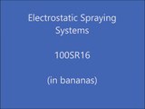 100SR16 spraying banana trees - Tractor mounted sprayers