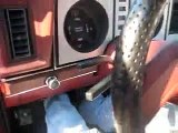1985 Antique Ford Ranger Pull away after engine is running