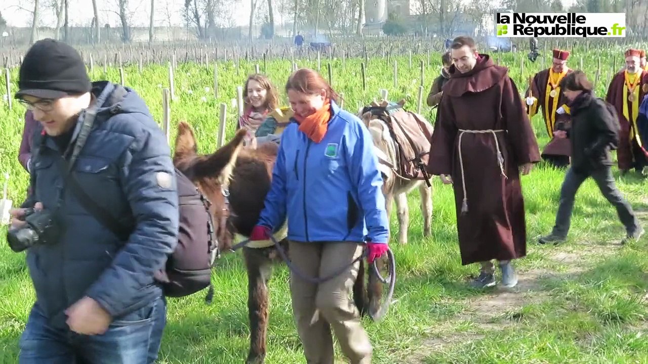 VIDÉO. Tours : ils ont marché dans les pas de saint Martin