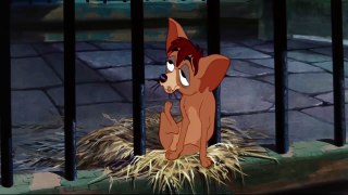 Lady and the Tramp - He's a Tramp HD