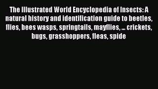 Download The Illustrated World Encyclopedia of Insects: A natural history and identification
