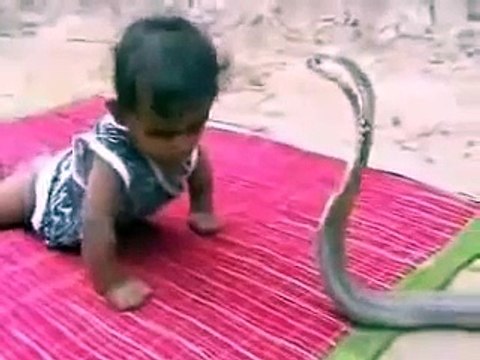 Ребенок 1 ГОД играется с КОБРАЙ...