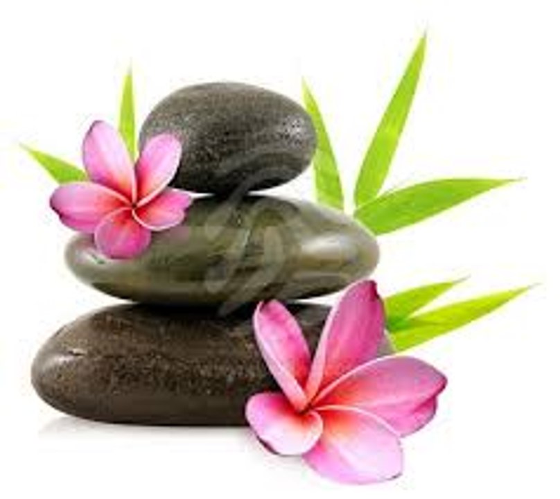 REVVOL_05_PSYCHOLOGIE