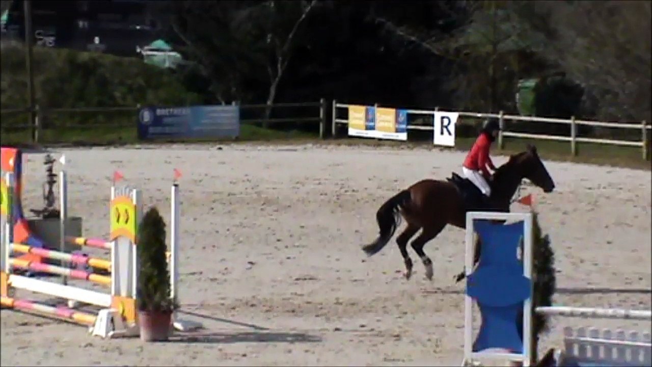 Feria CSO Sandillon 20160316