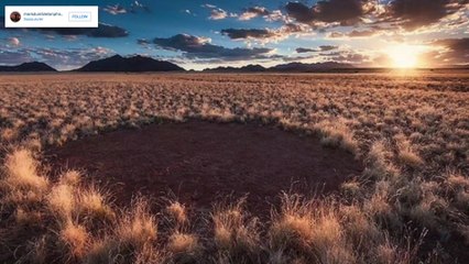 The Work of Tinker Bell? Mysterious 'Fairy Circles' Discovered