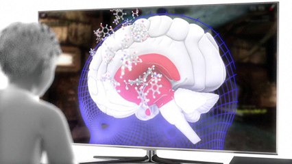 Le cerveau des enfants du numérique