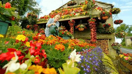 Оригинальные висячие клумбы