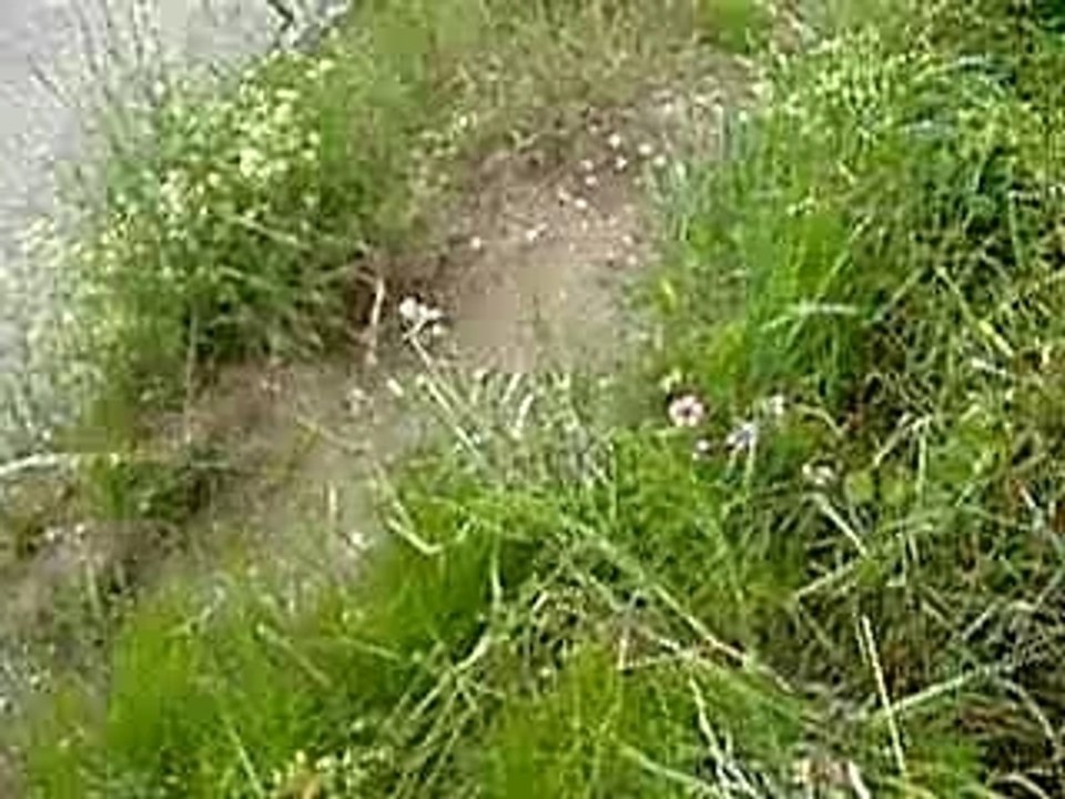 VTT