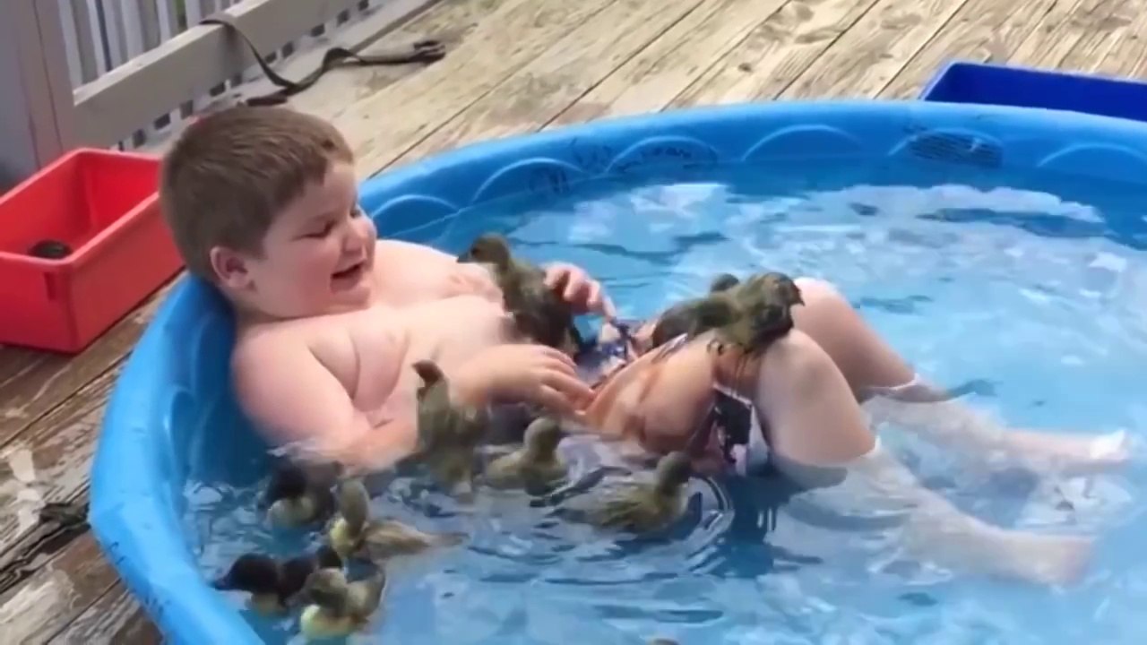 Cute Funny Animals