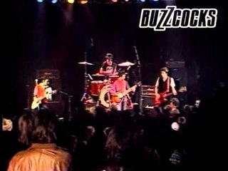Buzzcocks "Harmony in My Head"