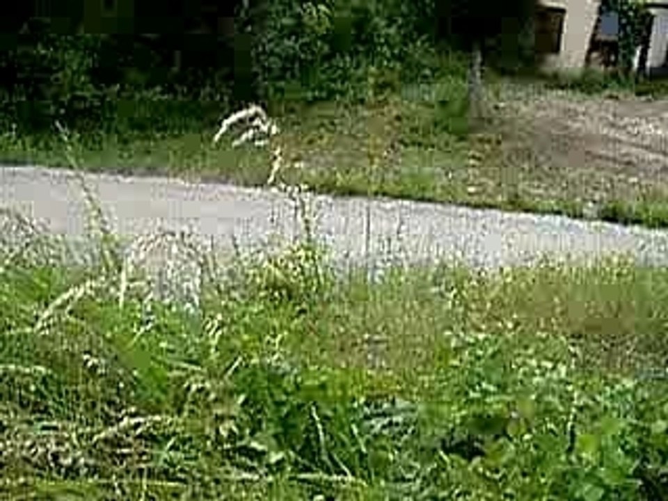 VTT 3