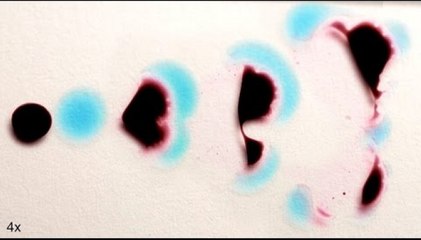 Food coloring comes to life because science is awesome | Adorabo